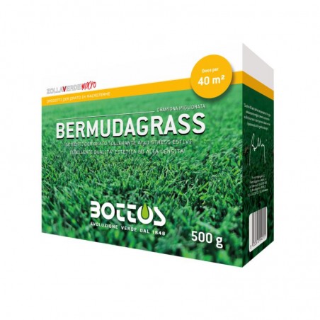 Bermudagrass 500 grammi